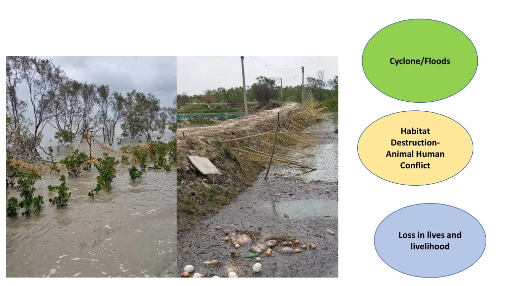 cyclone floods