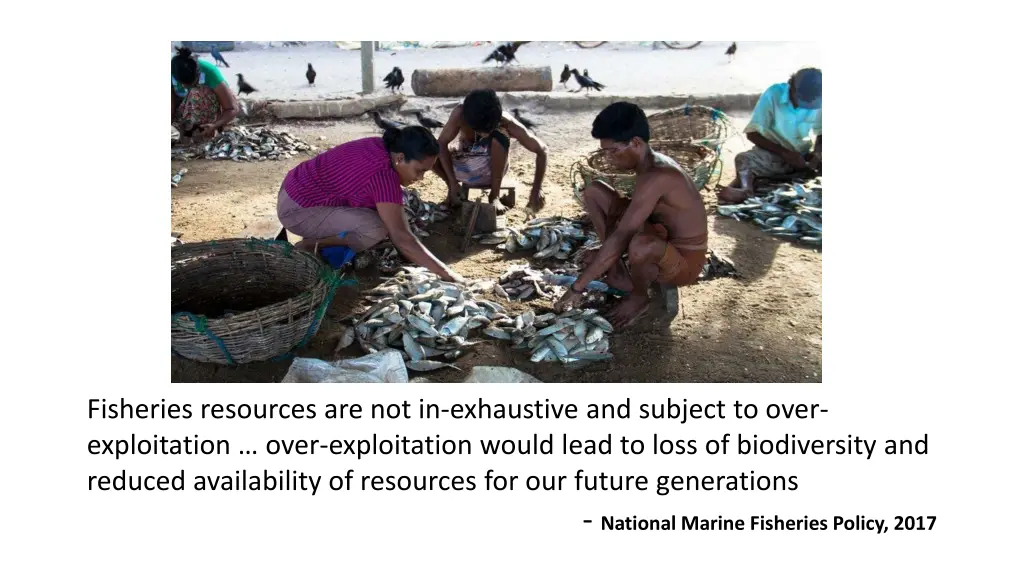 fisheries resources are not in exhaustive