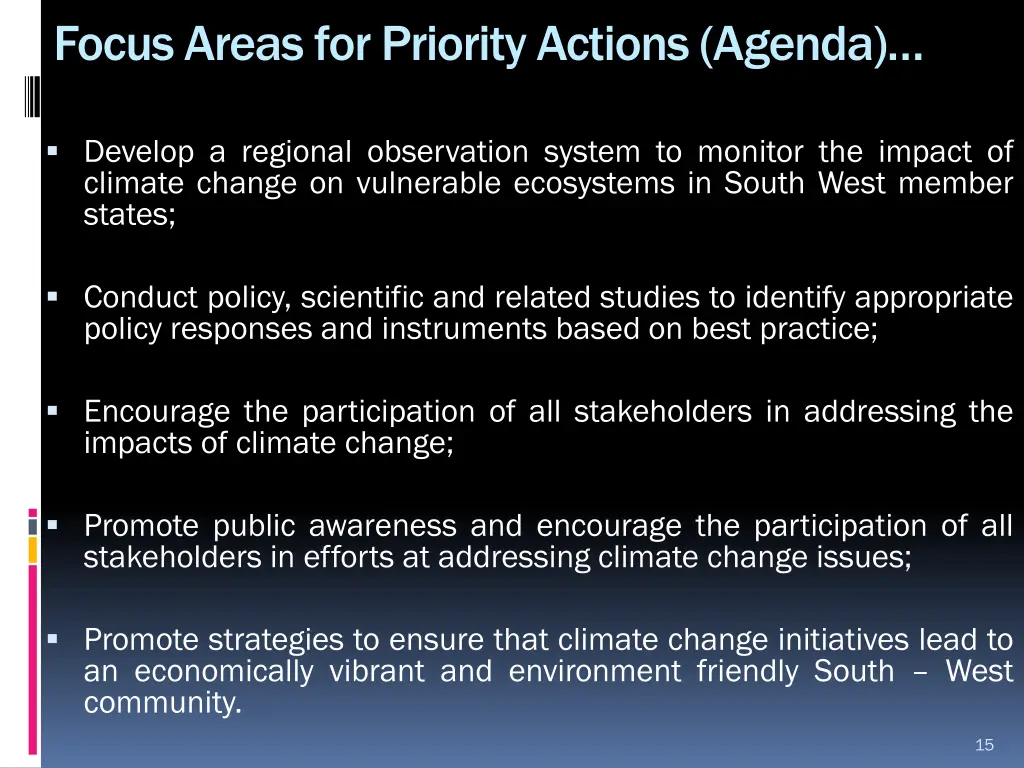 focus areas for priority actions agenda 1