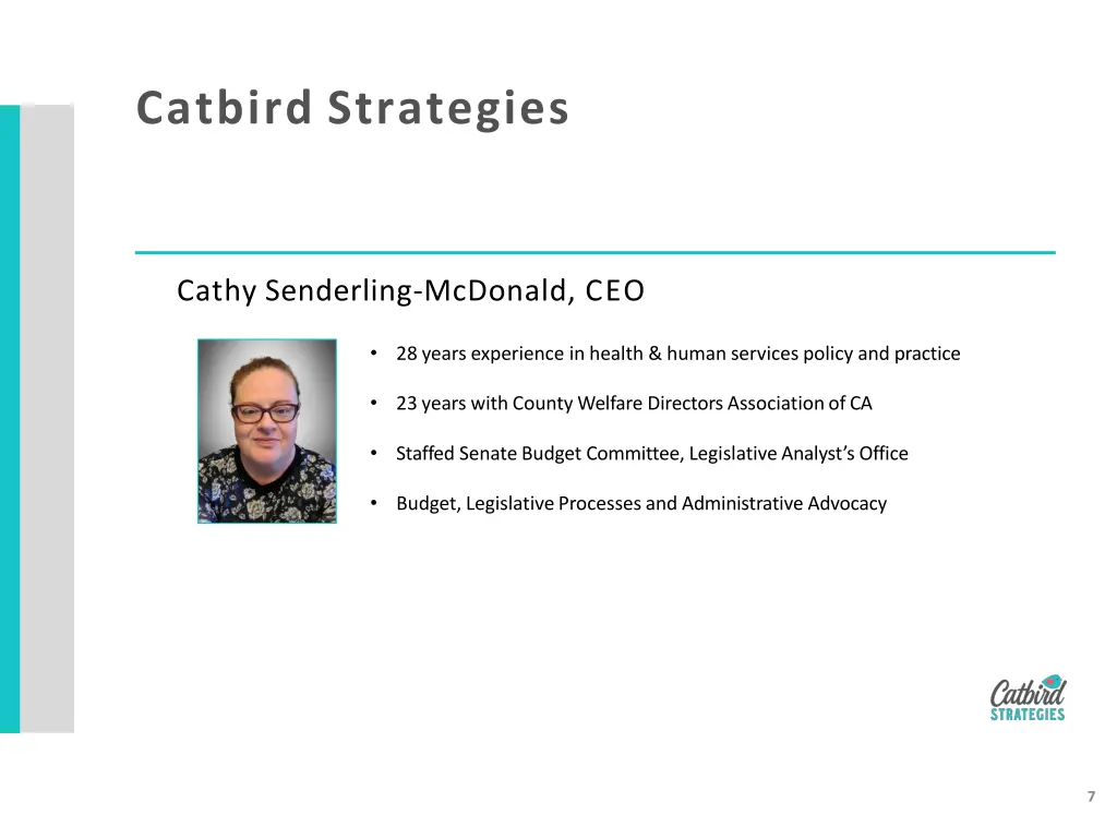 catbird strategies