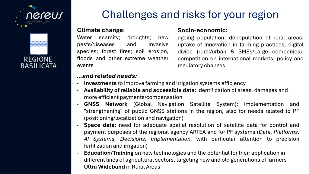 challenges and risks for your region