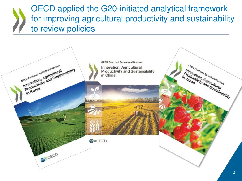 oecd applied the g20 initiated analytical