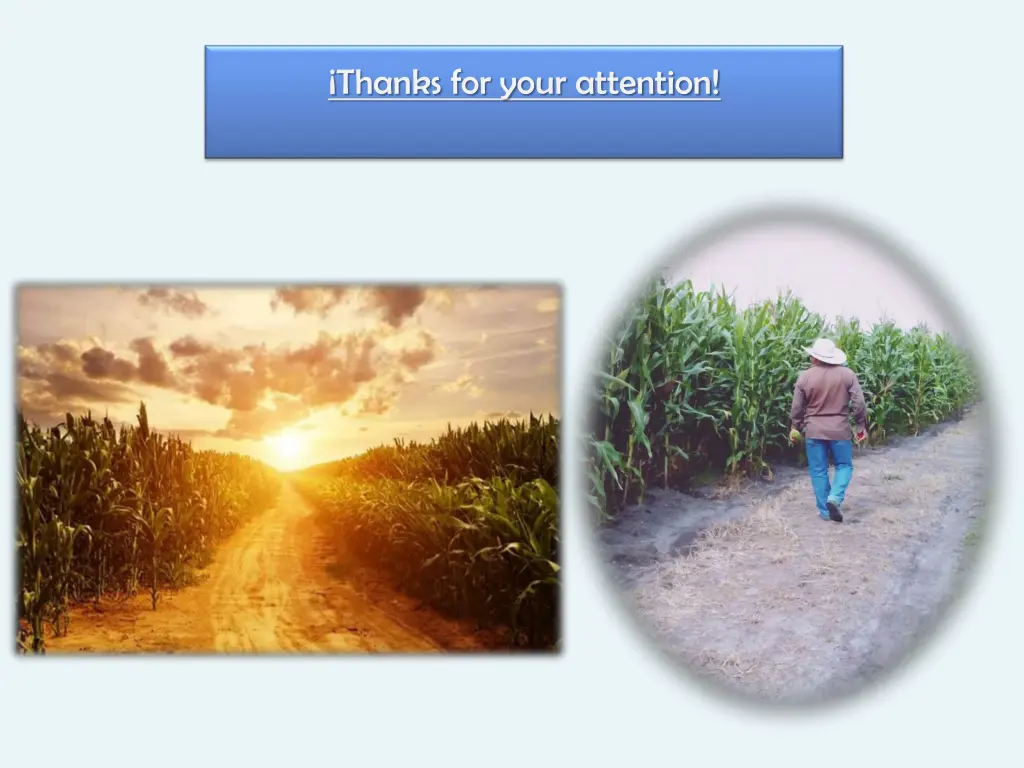 thanks for your attention