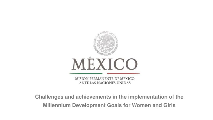 challenges and achievements in the implementation