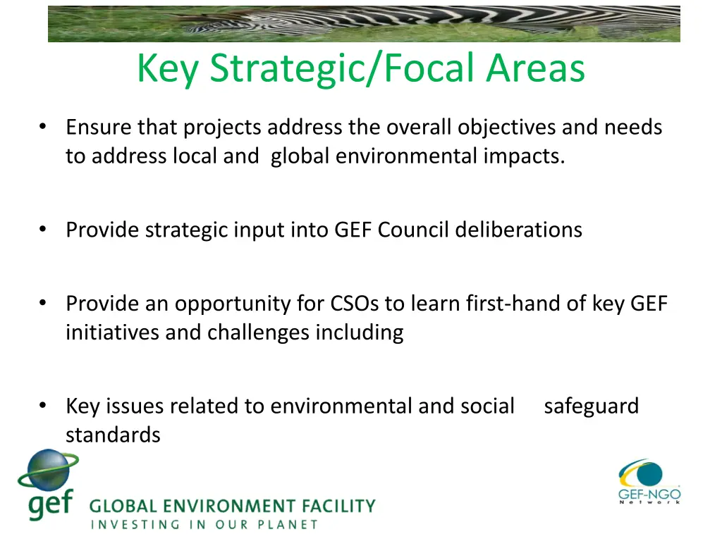 key strategic focal areas