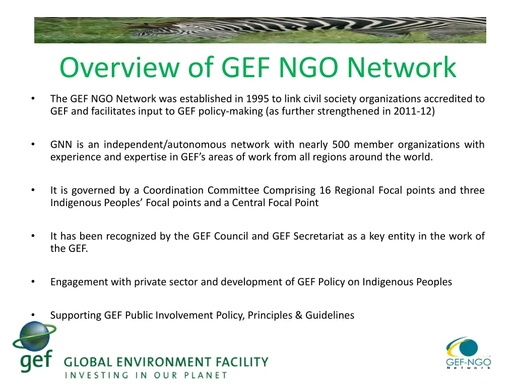 overview of gef ngo network