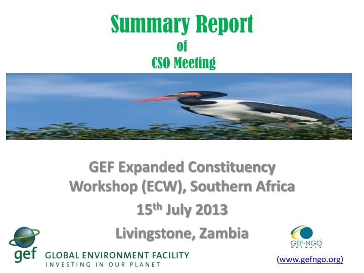 summary report of cso meeting