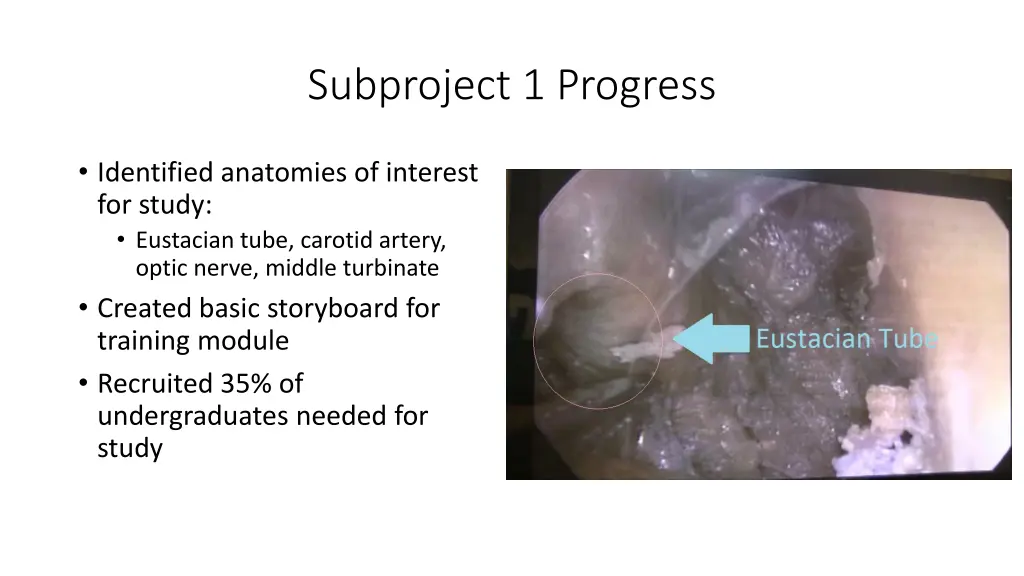 subproject 1 progress