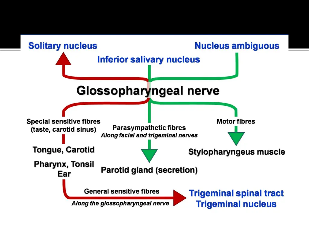 slide11