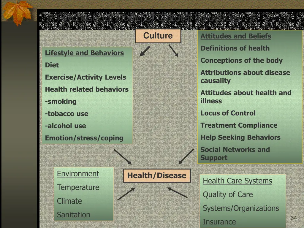 psychosocial model of cultural influences