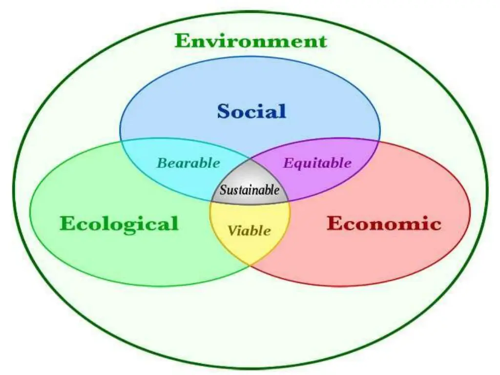slide4