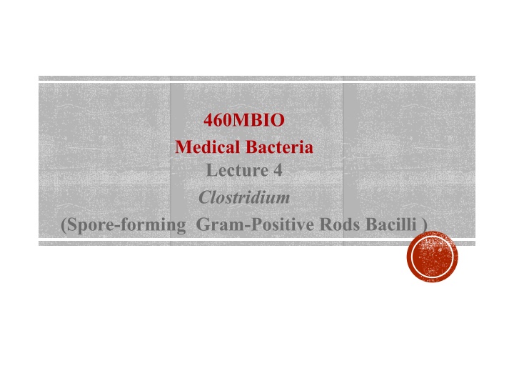 460mbio medical bacteria lecture 4 clostridium