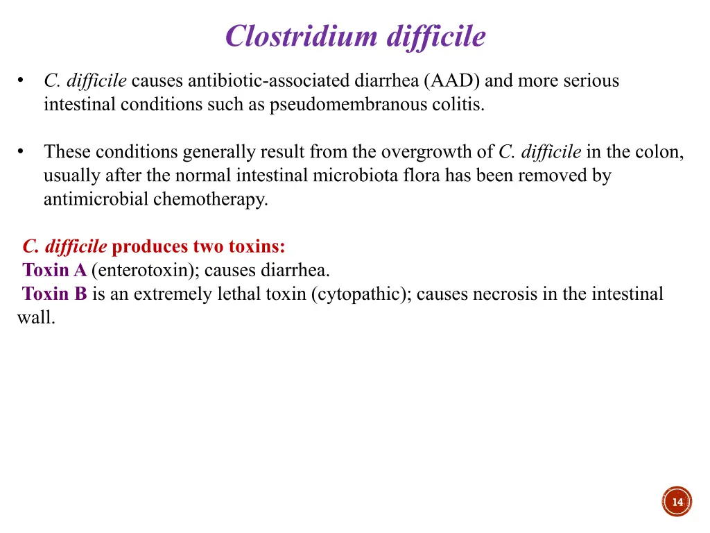 clostridium difficile
