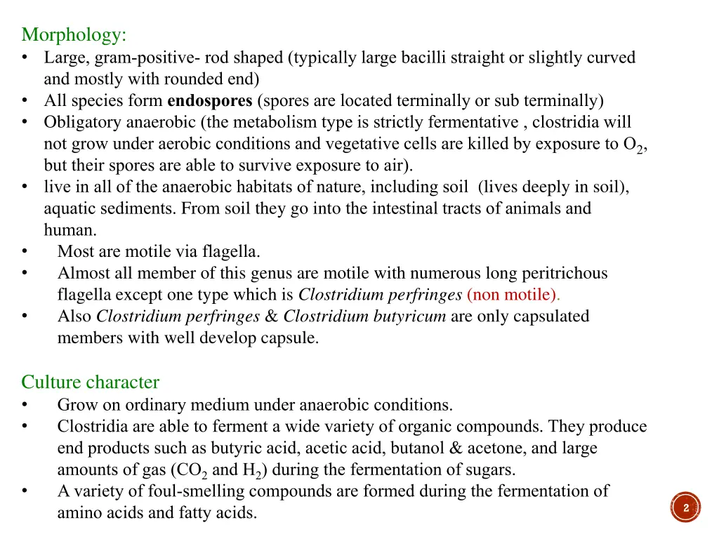 morphology large gram positive rod shaped