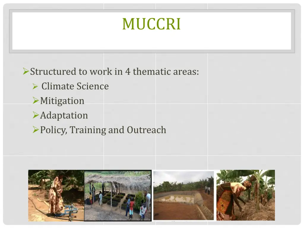 muccri