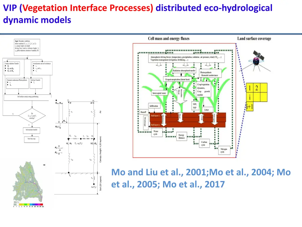 vip vegetation interface processes distributed