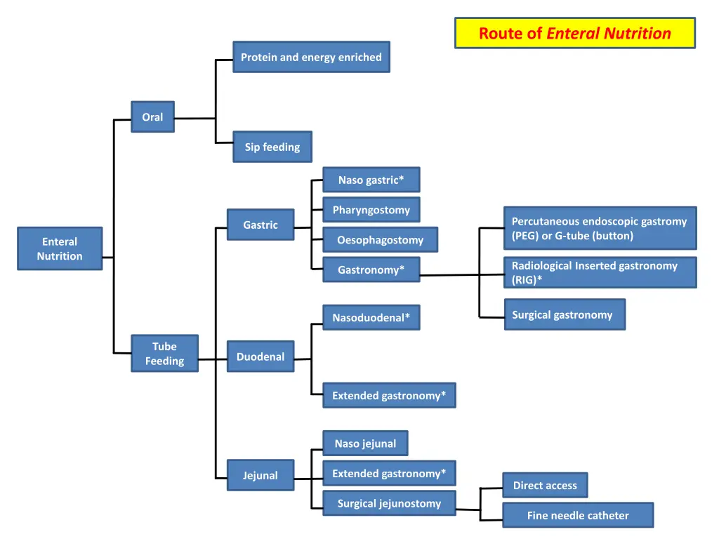 route of enteral nutrition