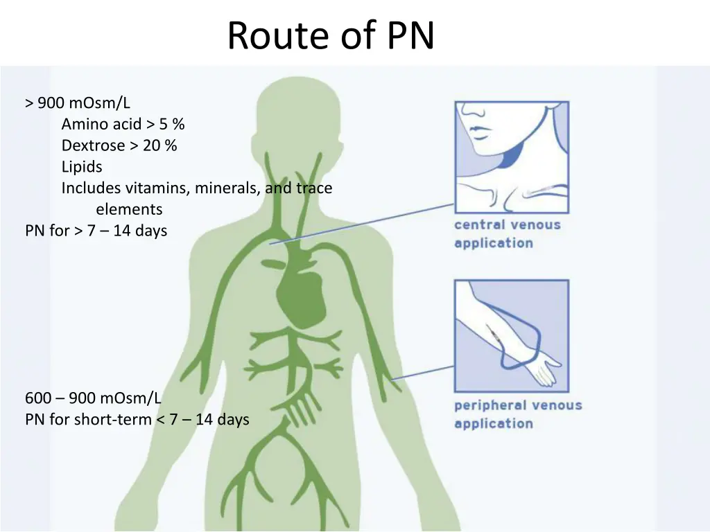 route of pn