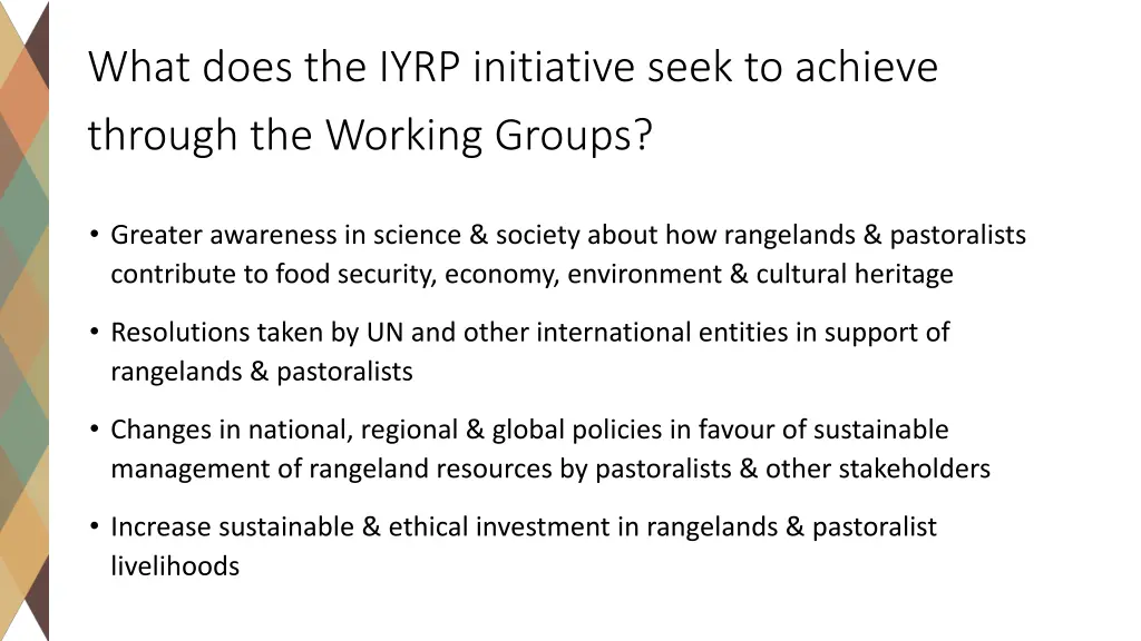 what does the iyrp initiative seek to achieve