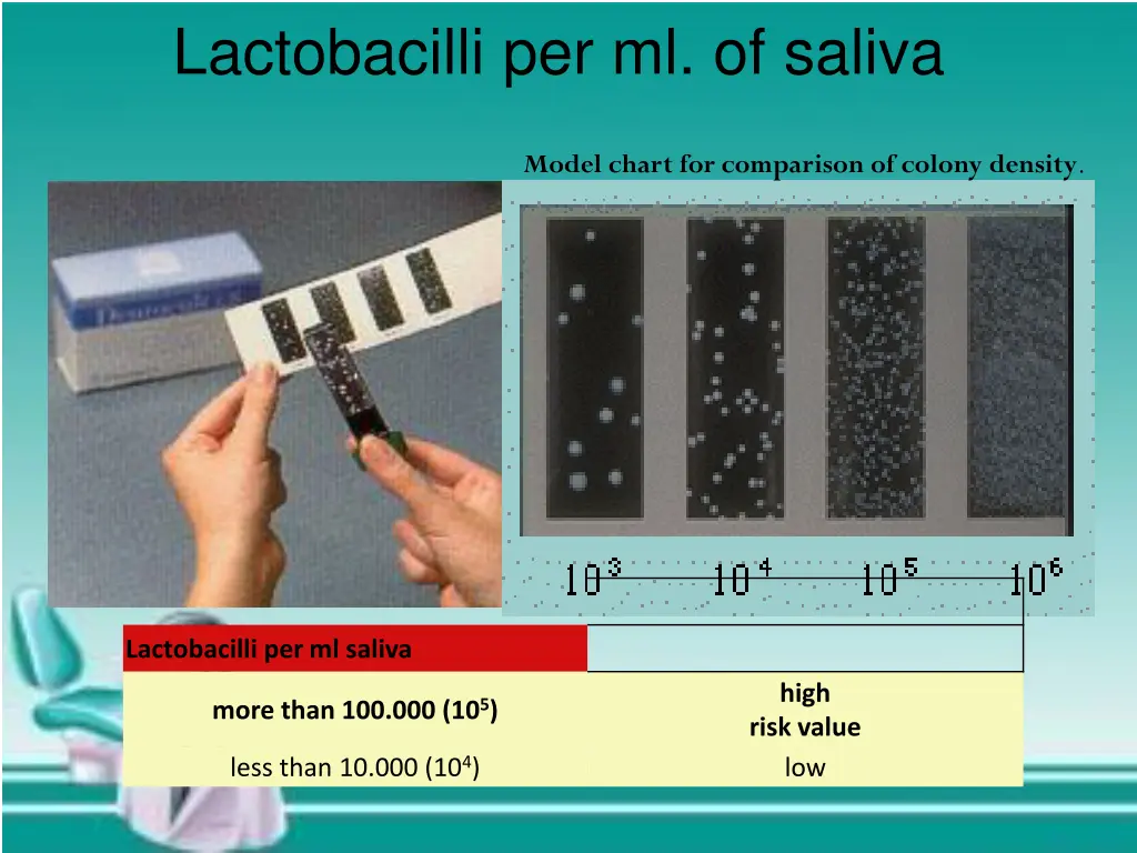 lactobacilli per ml of saliva