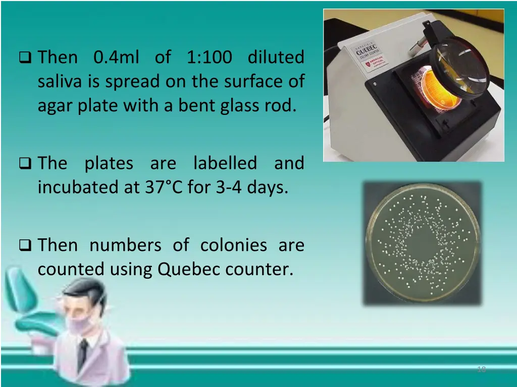 then 0 4ml of 1 100 diluted saliva is spread