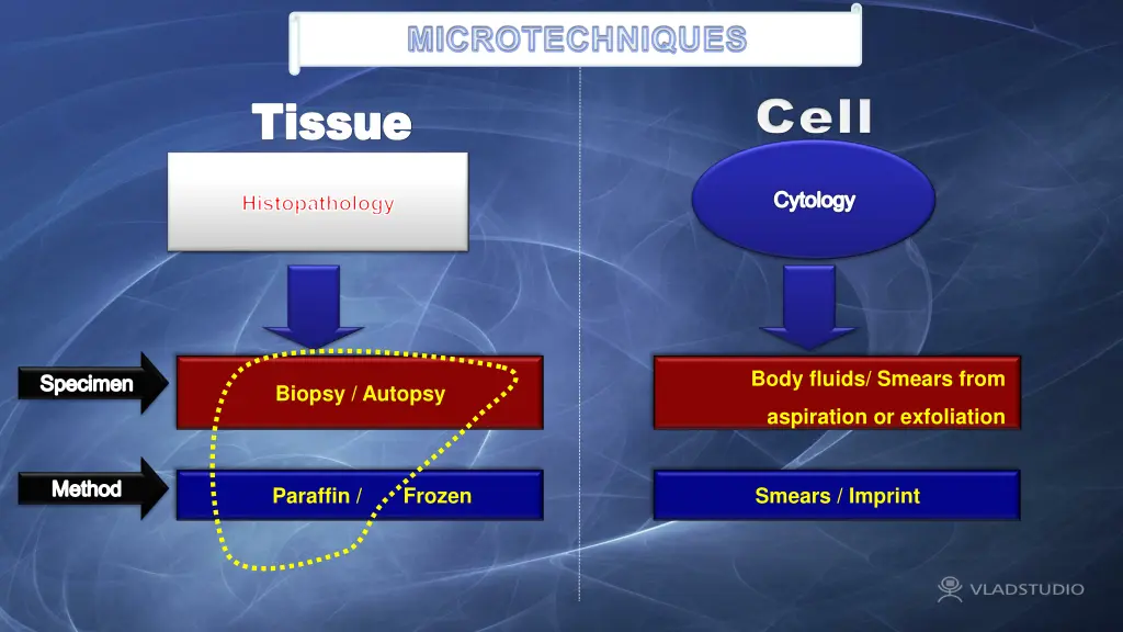 microtechniques