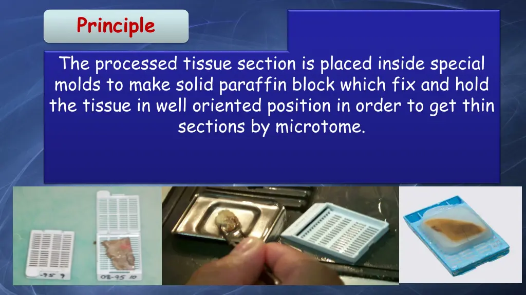 principle