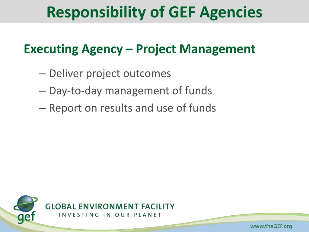 responsibility of gef agencies 1