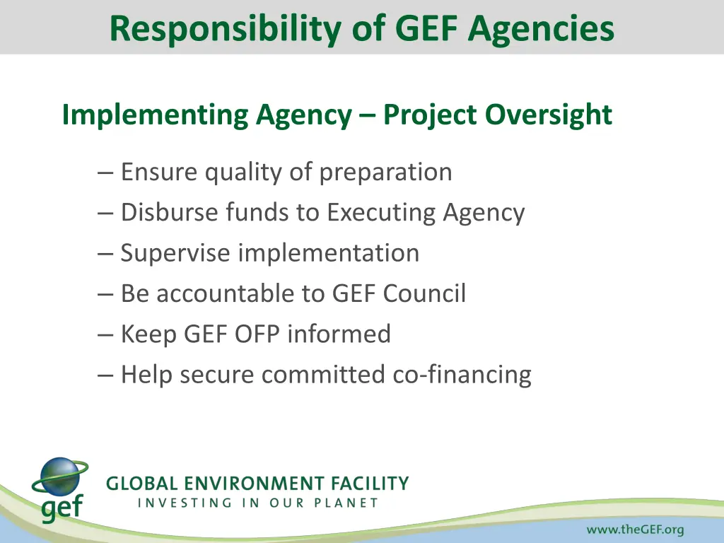 responsibility of gef agencies