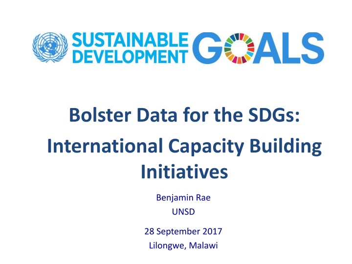 bolster data for the sdgs international capacity