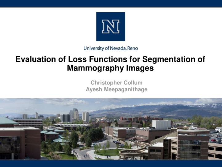 evaluation of loss functions for segmentation