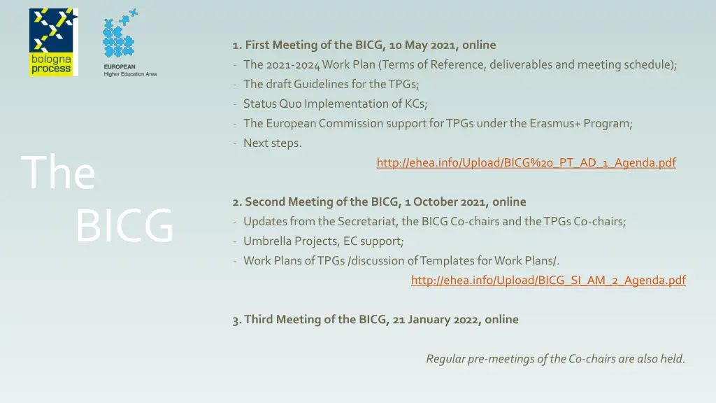 1 first meeting of the bicg 10 may 2021 online