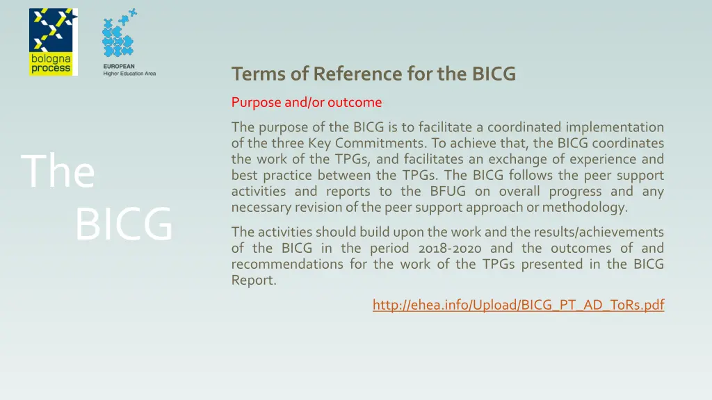terms of reference for the bicg 1