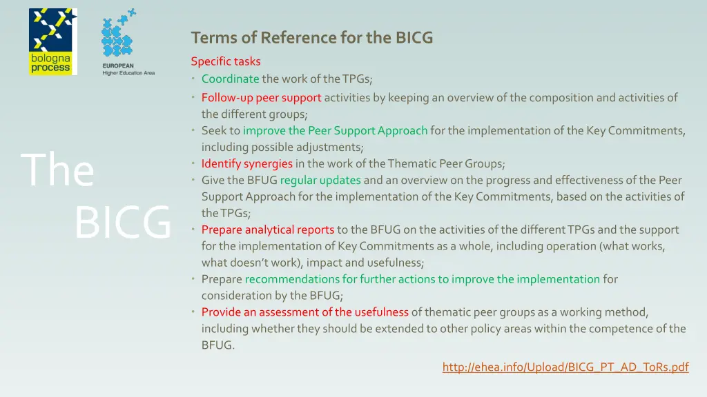 terms of reference for the bicg 2