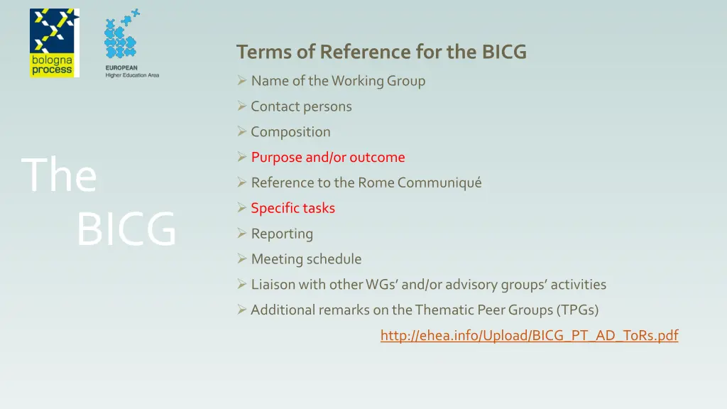 terms of reference for the bicg