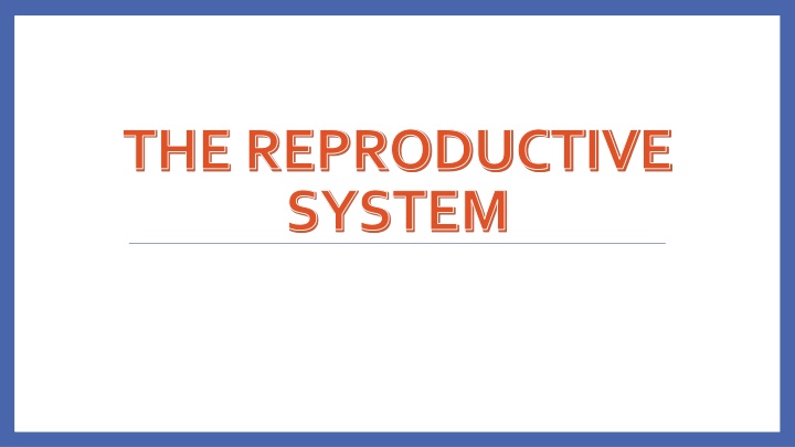 the reproductive system