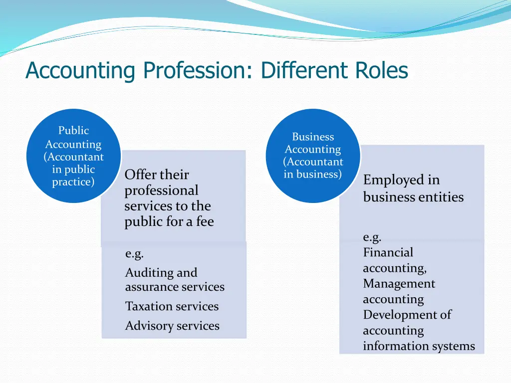accounting profession different roles