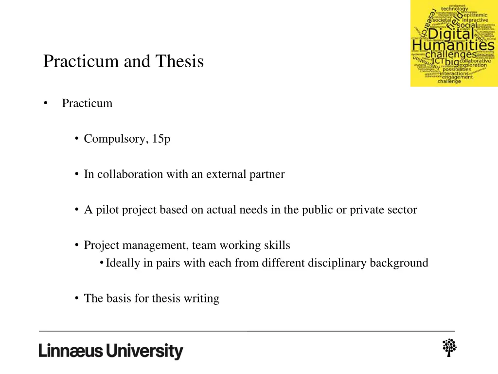 practicum and thesis