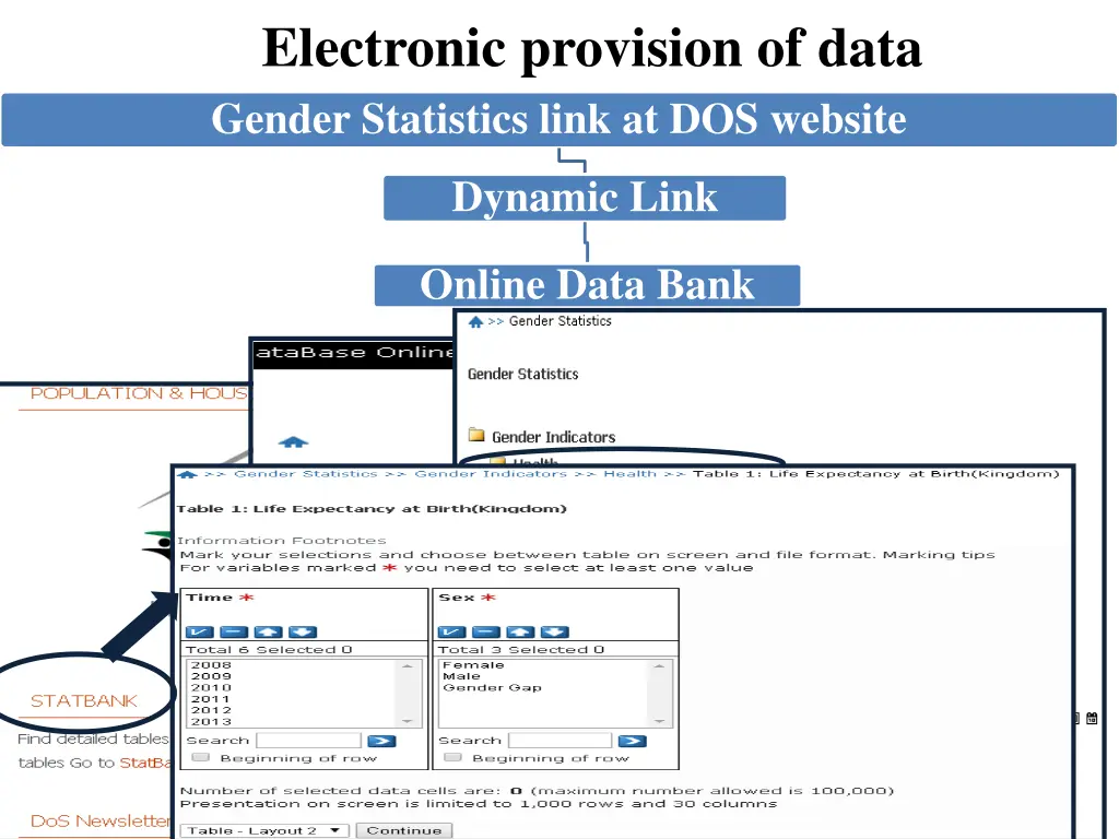 electronic provision of data gender statistics