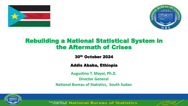 rebuilding a national statistical system