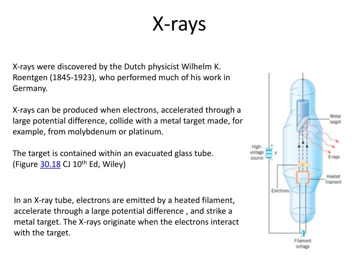 x rays