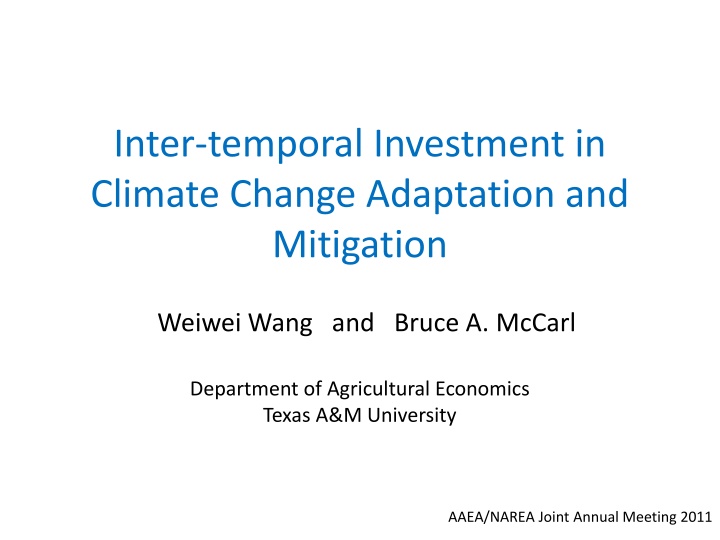 inter temporal investment in climate change
