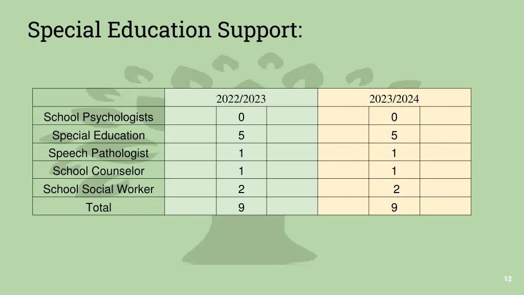special education support