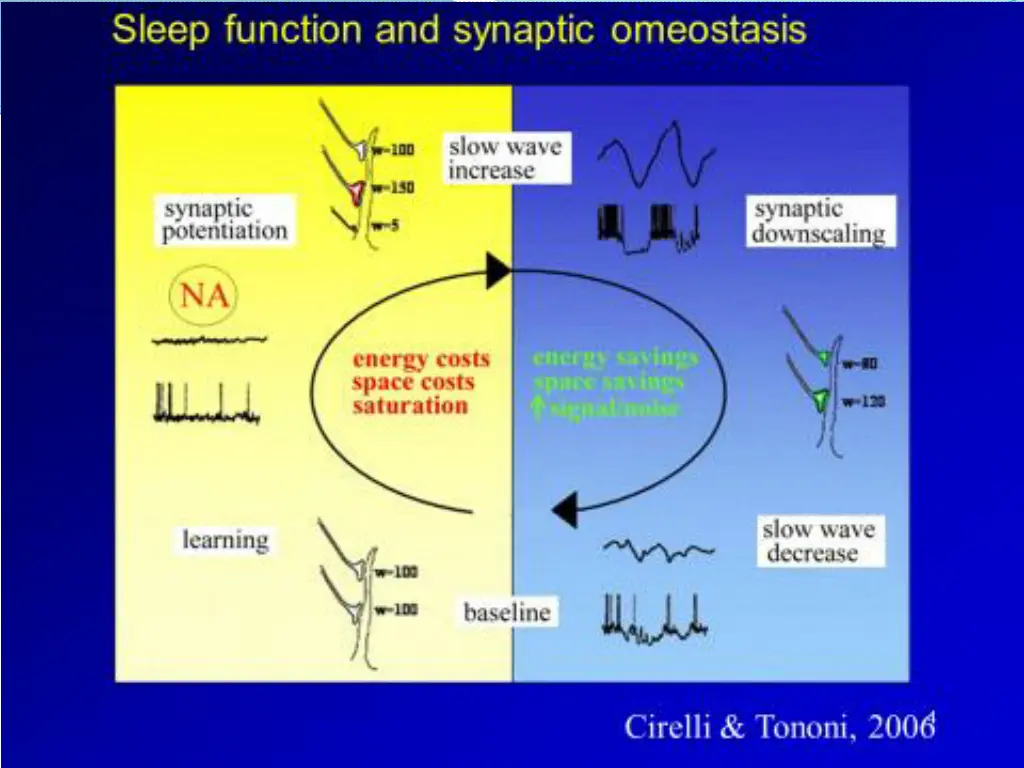 slide10