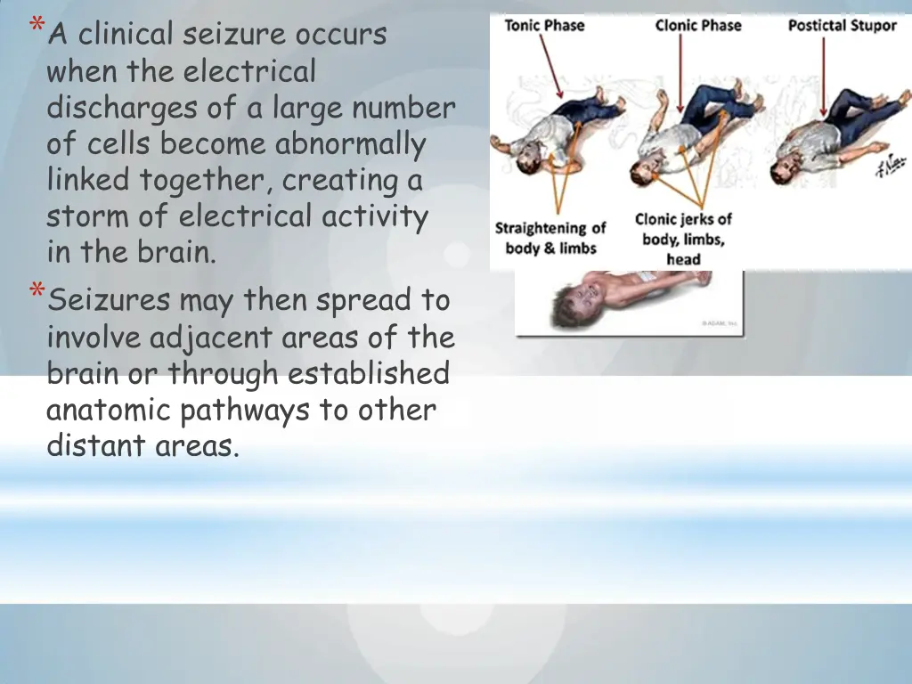 a clinical seizure occurs when the electrical