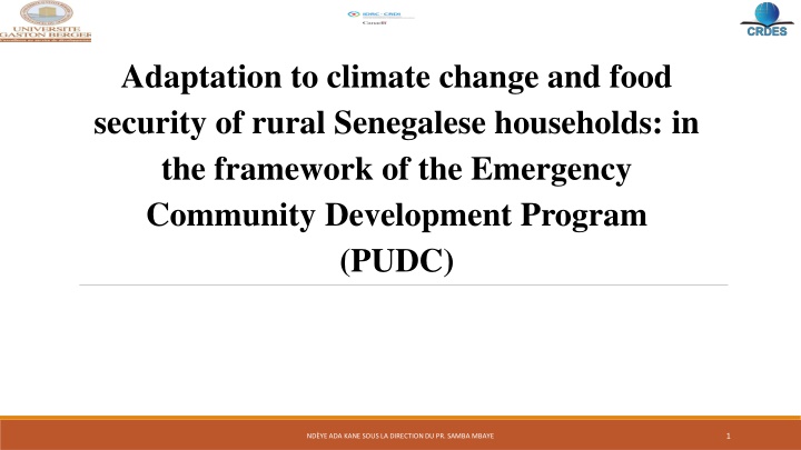 adaptation to climate change and food security