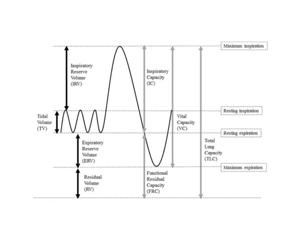 slide15