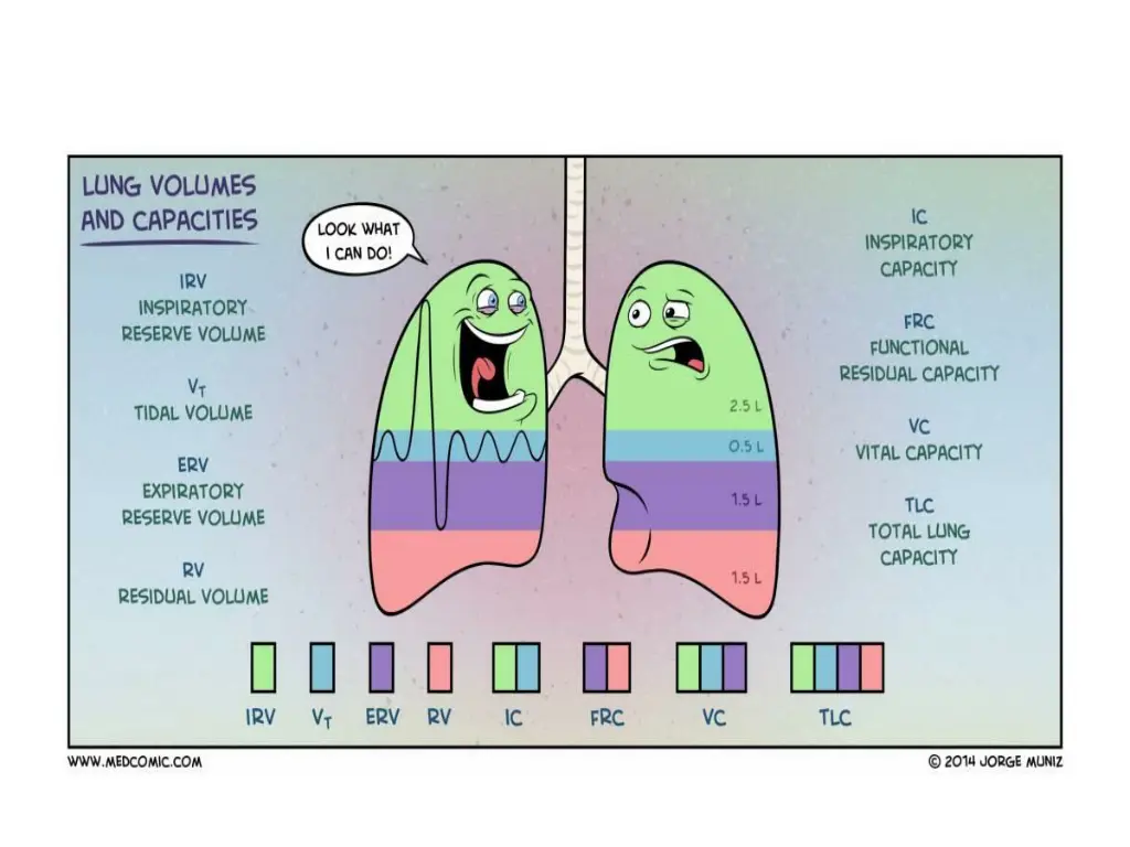 slide16