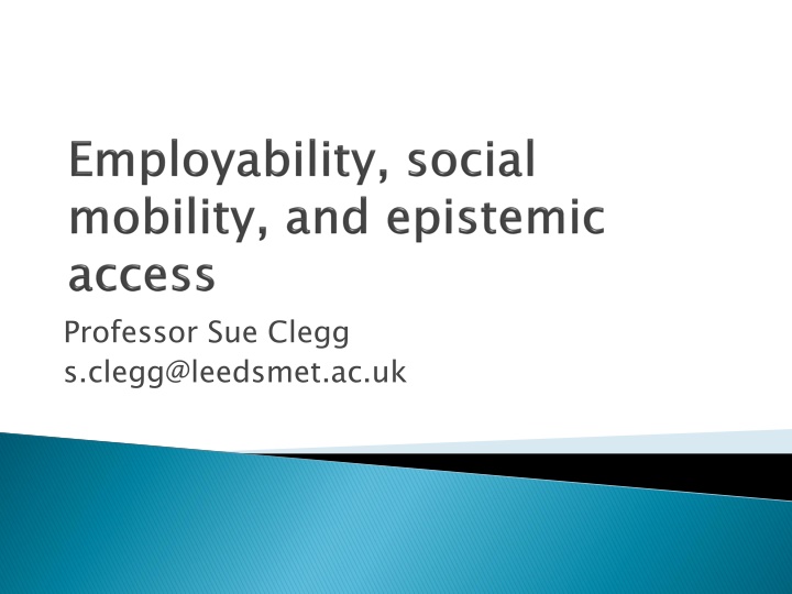 professor sue clegg s clegg@leedsmet ac uk