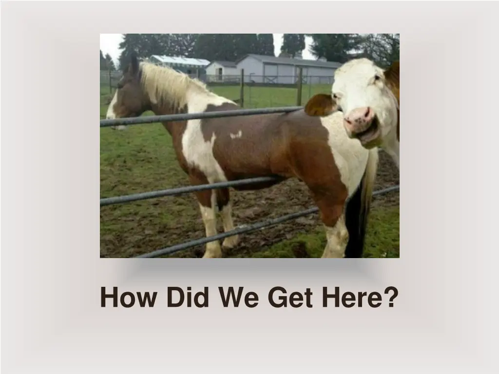 how did we get here